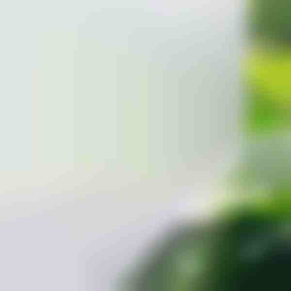 Folie de Protectie pentru Geam si Fereastra, Autocolant Adeziv cu Protectie UV | WINDOWFILM