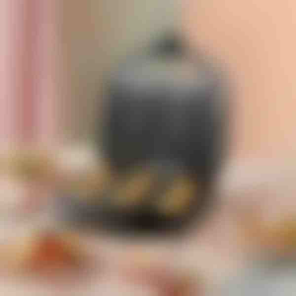 Aparat electric pentru preparat gogosi | DONUTPRO