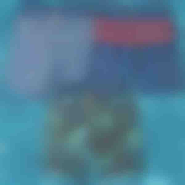 Pantaloni scurți de baie cu uscare rapidă | TOGGIES