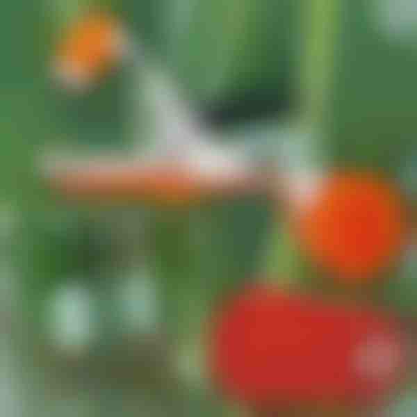 Clește profesional pentru legarea plantelor | PLANTBRAND