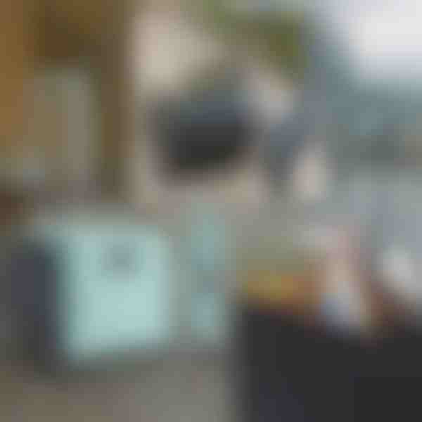 Cărucior multifuncțional | CARRYMAX