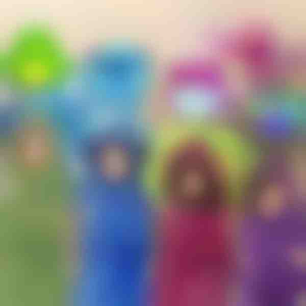 Jucărie, pernă și hanorac | PILLOWPET