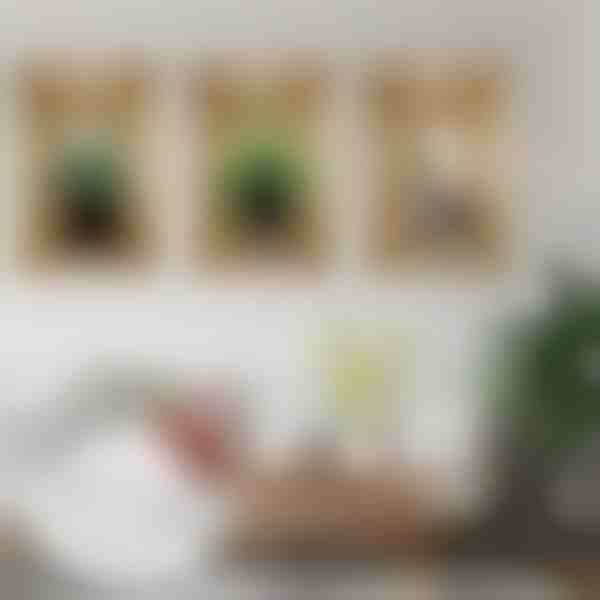 Decorațiuni 3D pentru pereți (3pcs) | VASUART