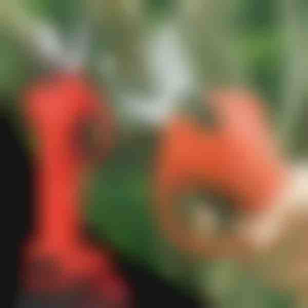 Foarfecă electrică | WHIZZPRUNER