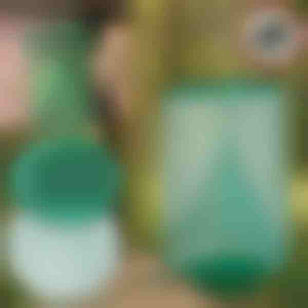 Plasă reutilizabilă pentru prinderea insectelor | INSECTA