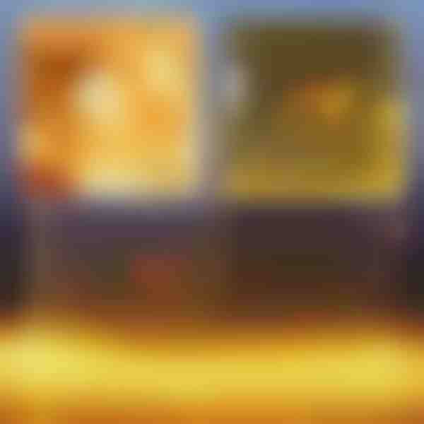 (3x2M) Instalatie de Craciun tip Plasă cu LED-uri | LUMONET