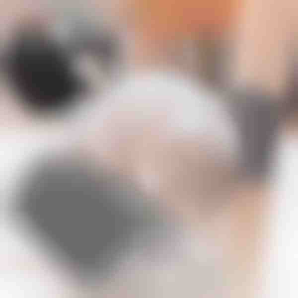 Perie cu fixare pe perete pentru pisici (2 bucăți) | PURRCORNER