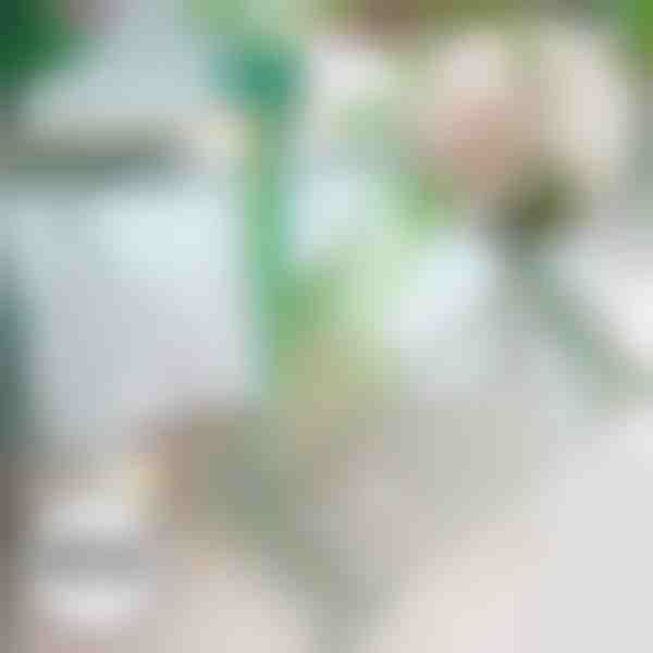 Opritor de cădere pentru plante | ROOTZI