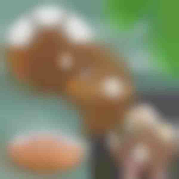 Set complet de platou pentru gustări | SNACKPLATTER