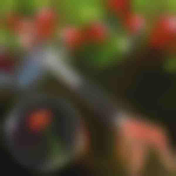 Foarfecă de tăiat copaci | TREESNIP