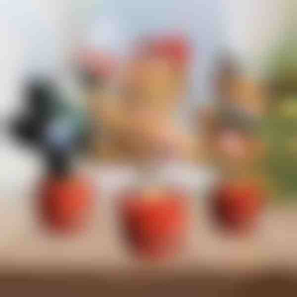 Jucărie interactivă de Crăciun | DANCETKO