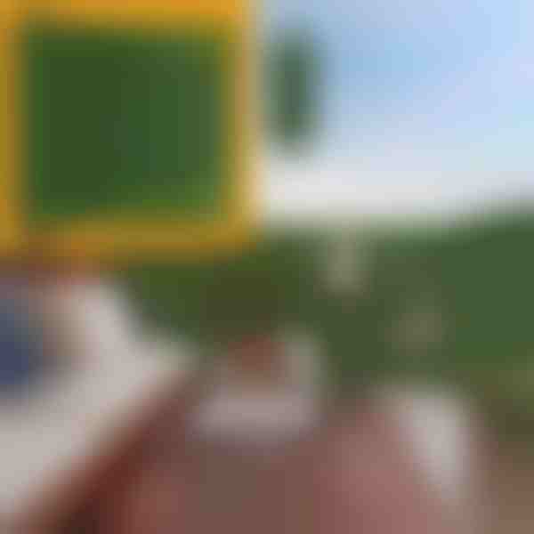 Panou cu frunze artificiale | LEAFPANEL