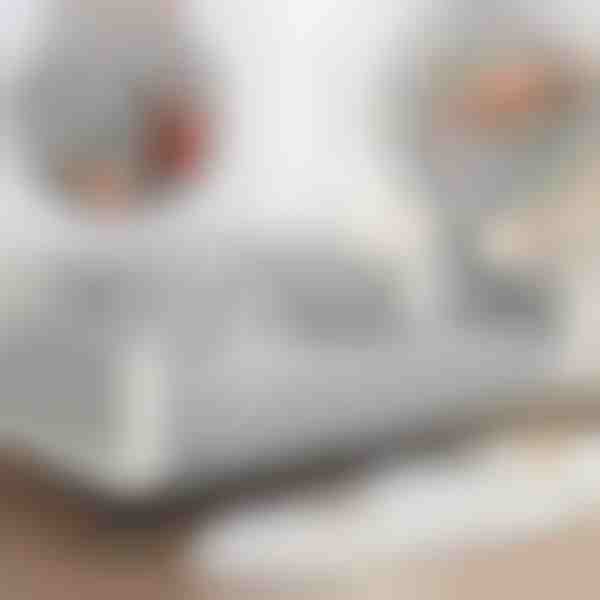 Husă pentru canapea | VELVECO