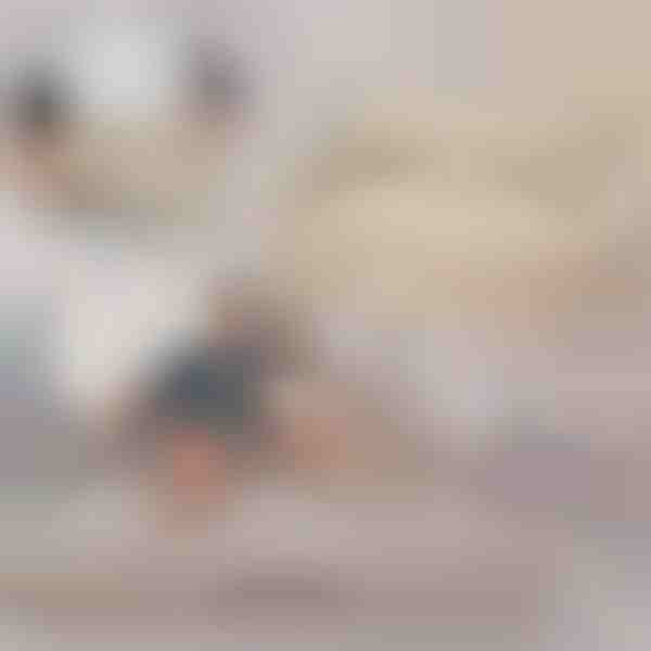 Canapea gonflabilă extensibilă | SOFLINKA