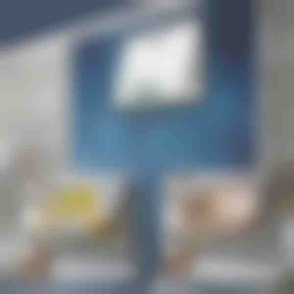 Capac decorativ pentru mascarea tablourilor electrice (30x40cm) | DECOFRAME