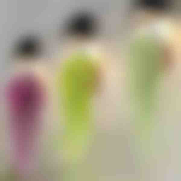 Plantă decorativă suspendată | IVYORA