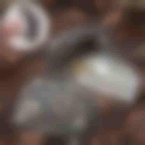 Piatră pentru ascunderea cheilor | KEYBLEND