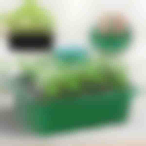 Tavă pentru răsaduri cu compartimente | PLANTURKA