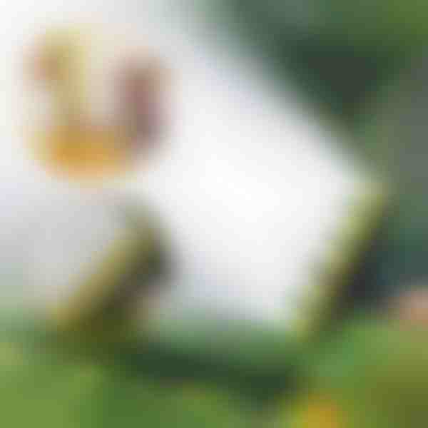 Aspersor cu mai multe capete | SPRAYMASTER