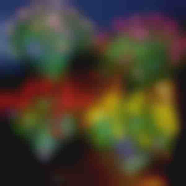 Lampă solară cu flori | ROSILUME