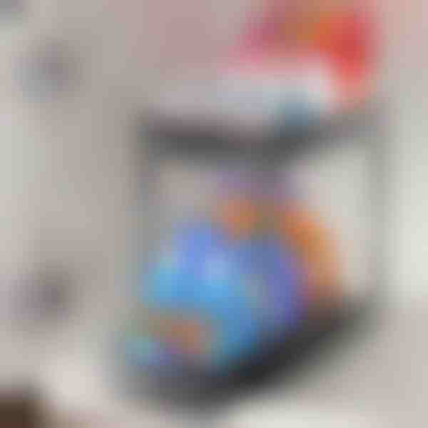 Organizator extensibil pe două niveluri pentru acces ușor | SINKNOVA