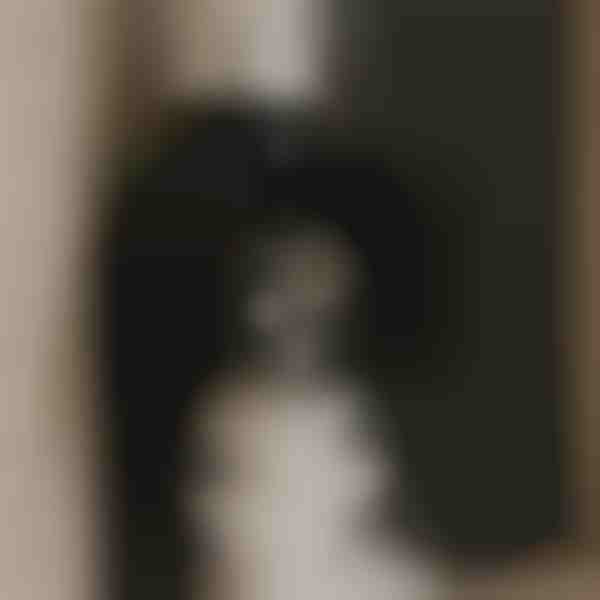 Ventilator puternic pentru aer curat | VENTORIS