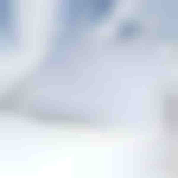 Husă magnetică pentru parbriz împotriva zăpezii | FROSTCOVER