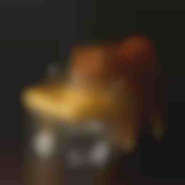 Fântână de hidratare pentru animale de companie | PETSPRINGLE