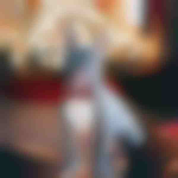 Zgardă pentru câine în stil festiv| DOGICOLLAR