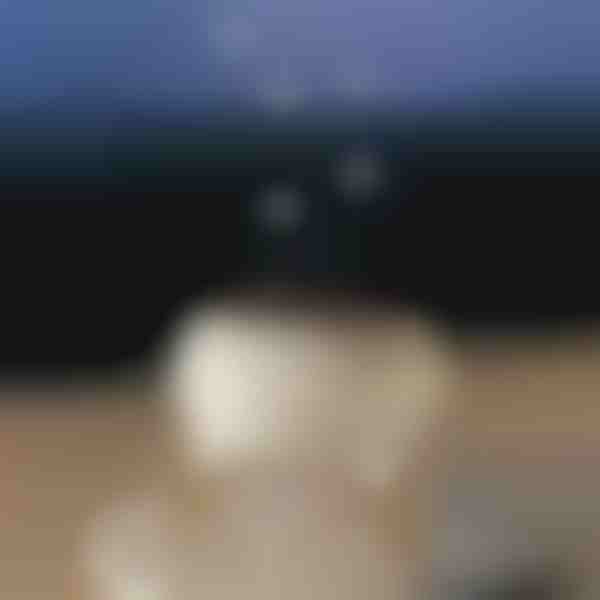 Difuzor de aromă calmant | MEDUSAMIST