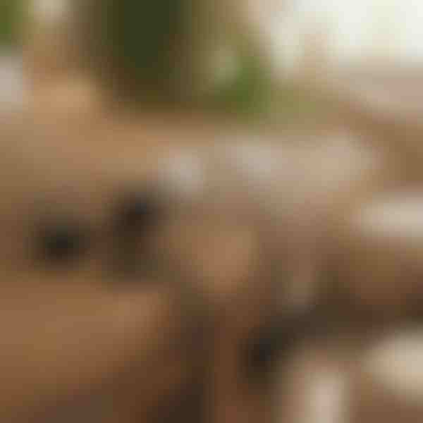 Organizator magnetic cu adeziv pentru cabluri | CABLIP