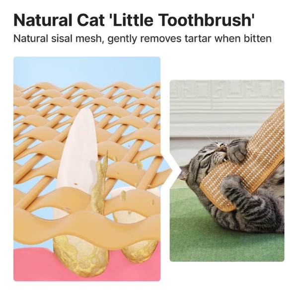 CATCHEW-3831127629256-EN-5__221225