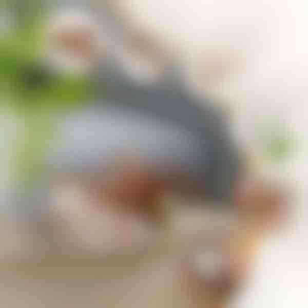 Jucărie interactivă pasăre care bate din aripi | CHIRRCAT