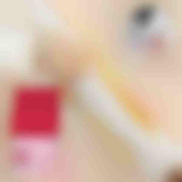 Șervețele pentru îndepărtarea petelor (20 buc.) | STAINIX