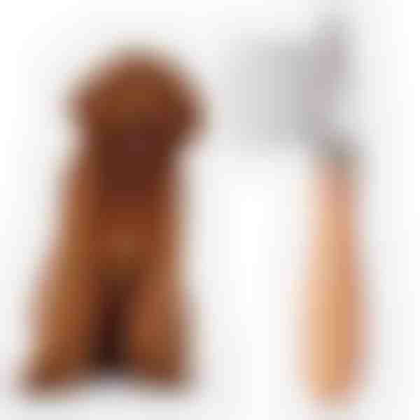 Perie pentru îngrijirea substratului de blană al animalelor de companie - Față dublă, mâner din arțar | FURVORA